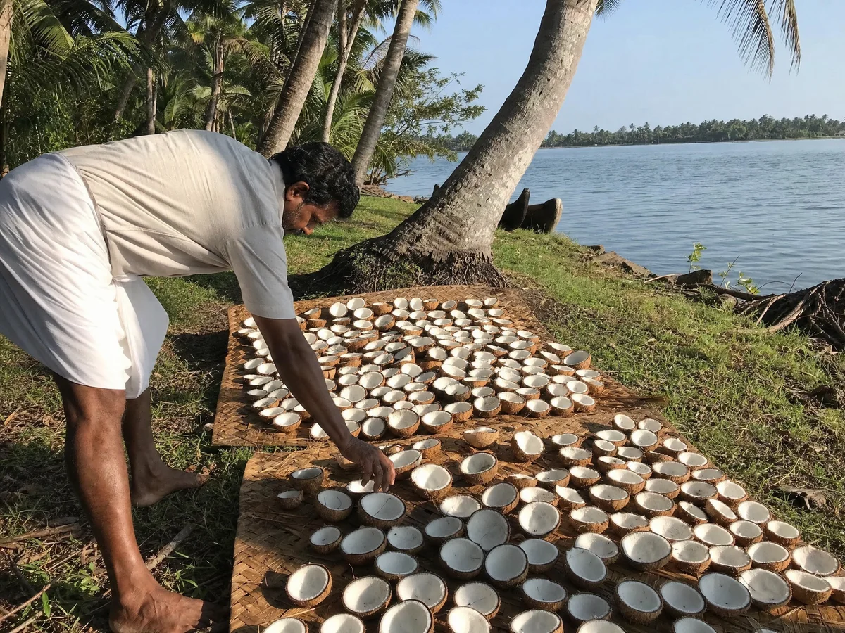 10 countries that produce the worlds best coconut oil and