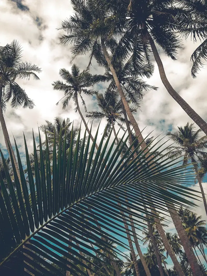 27 surprising uses for coconut oil you probably havent