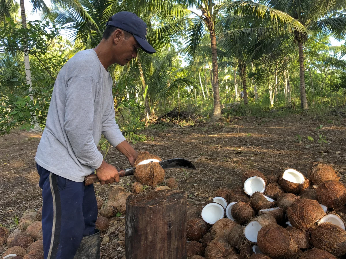 best organic coconut oil 7 usda certified picks worth your