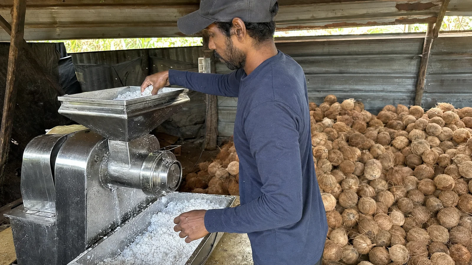 How Coconut Oil Is Processed: From Palm to Jar—and Why It Matters